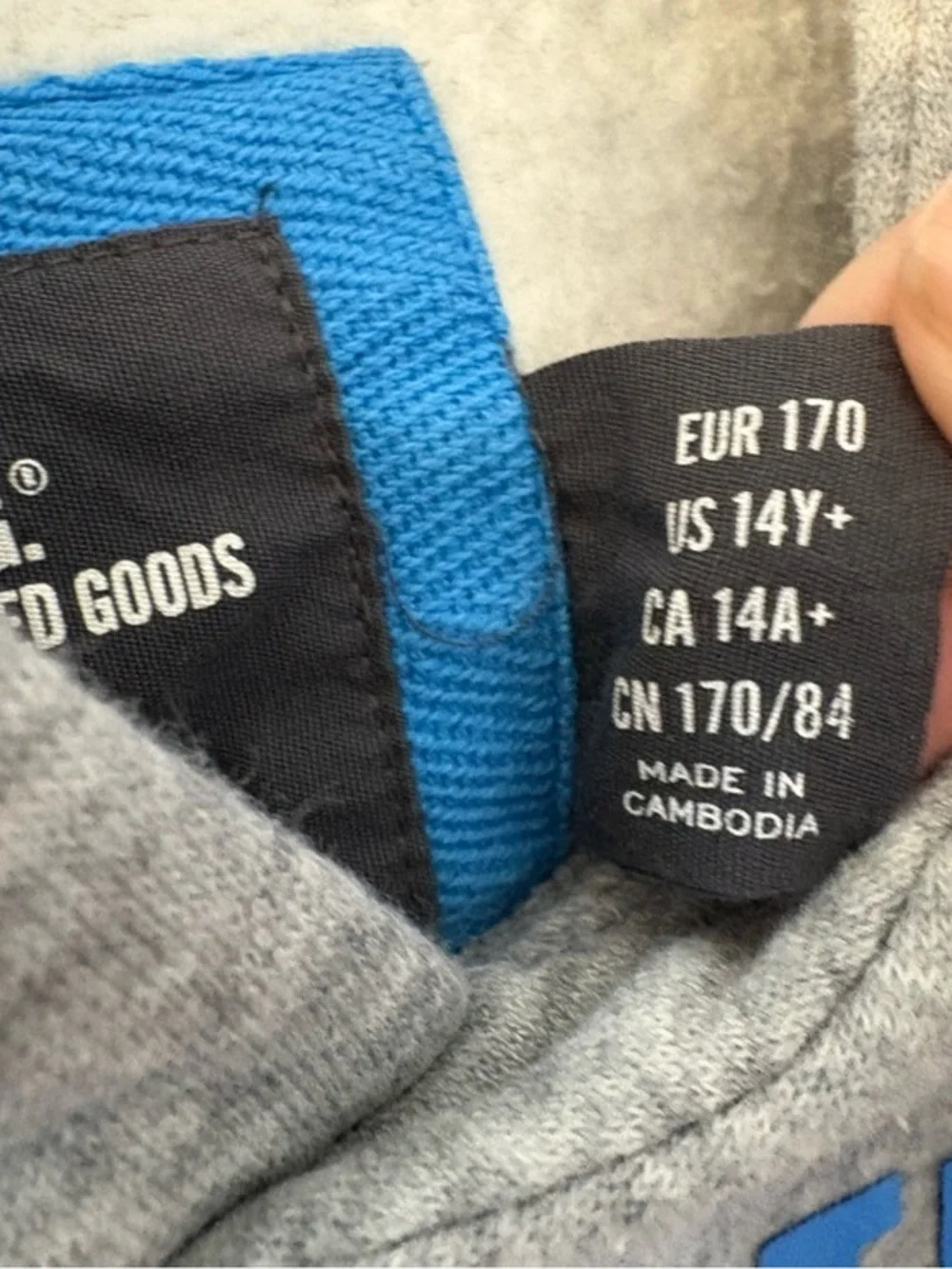 H&M Gray & Blue State River 1981 D
Hoodie Sweatshirt Size 14 Years Cotton - Picture 6 of 12
